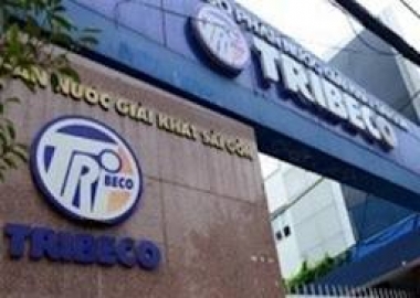Tribeco: Chết đắng trong mật ngọt